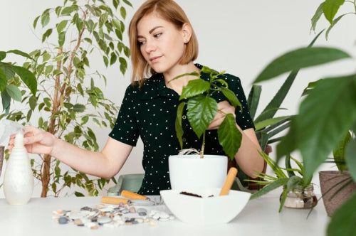 Plant-Based Alternatives Reduce Carbon Footprint of Accessories