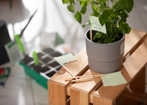 Workplace Accessories Reflect Growing Preference for Sustainable Materials