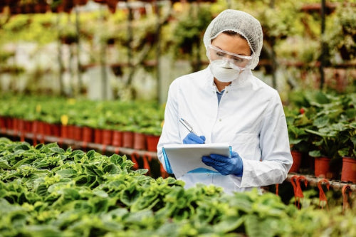 Plant-Based Material Certification Standards and Practices