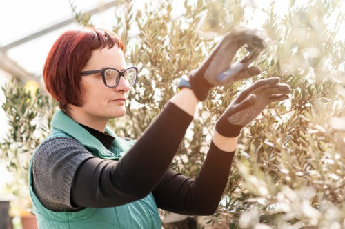 Bio-Based Material Research Supports Eco-Friendly Design