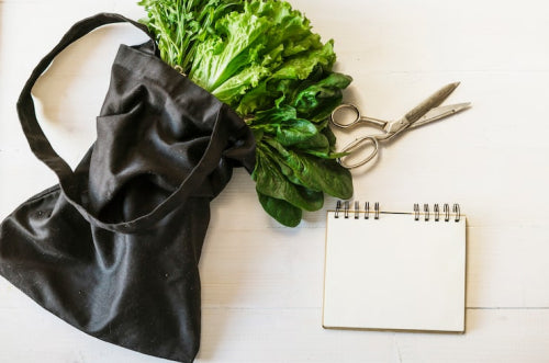 Plant-Based Bags and the Future of Eco-Friendly Work Accessories