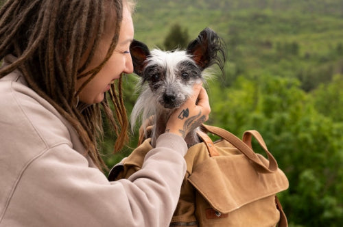 How Consumer Awareness About Animal Welfare Influences Bag Choices