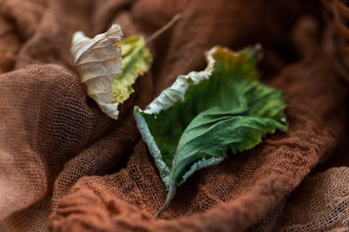 Emerging Vegan Leather Materials and Their Environmental Footprint