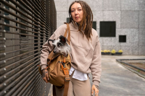 Rijac Backpack Stylish Backpacks Meet Practical Needs With Ethical Fashion – RIJAC