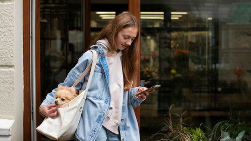 U.S. Campus Style Embraces Vegan Bags on Instagram Reels